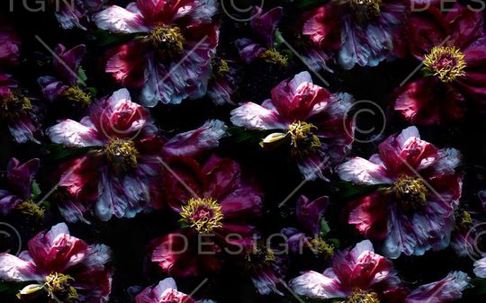 欧美印花华亿平台图片