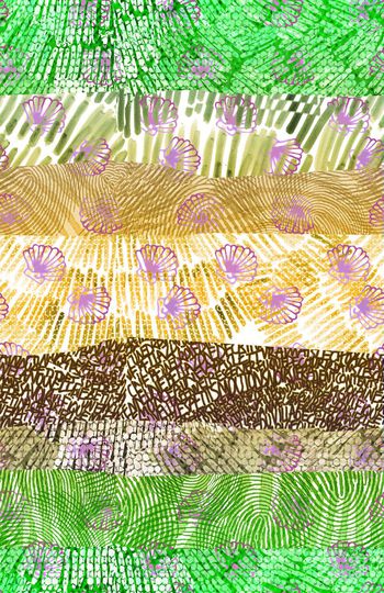 442119-海底狂想曲-漂浮的贝壳