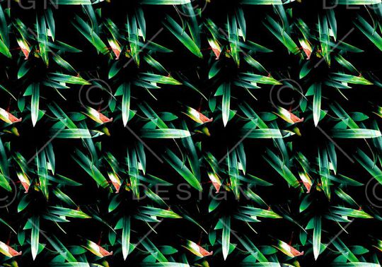 欧美印花华亿平台图片