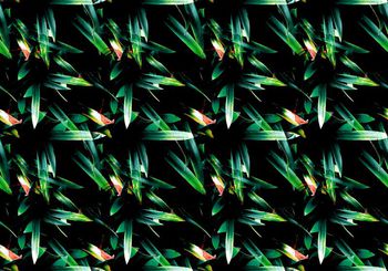 欧美印花华亿平台图片