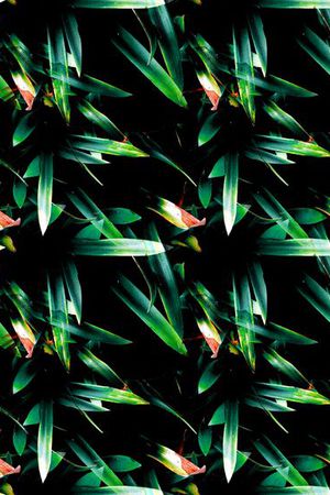 欧美印花华亿平台图片