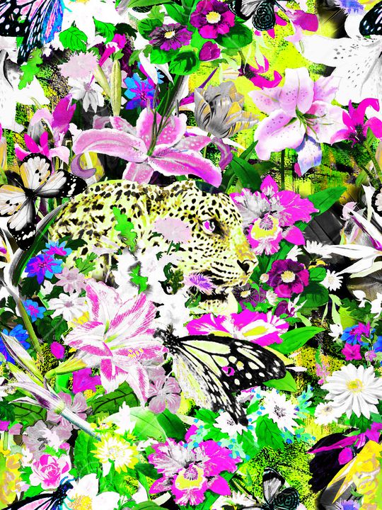 动物印花华亿平台图片