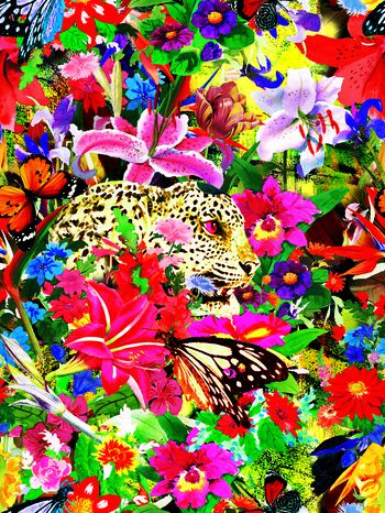 442156-热带雨林的故事-潜伏的豹子