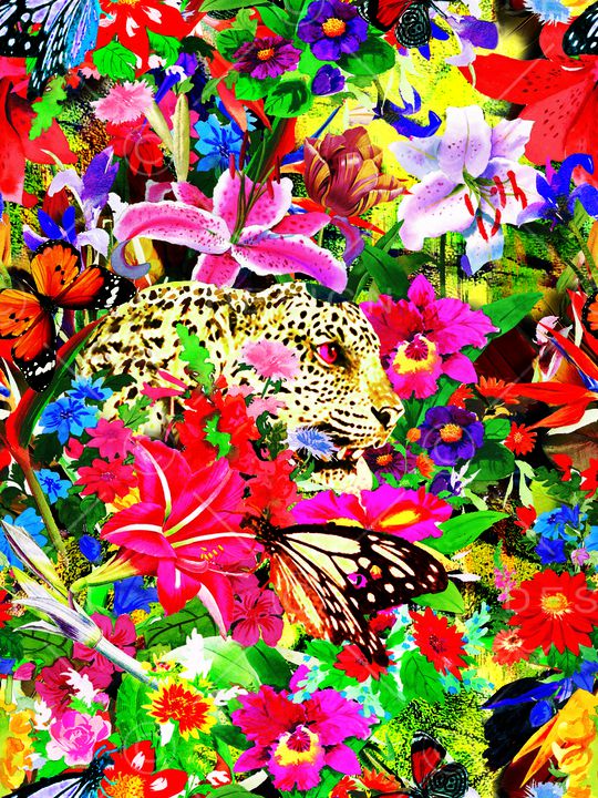 热带雨林印花华亿平台图片