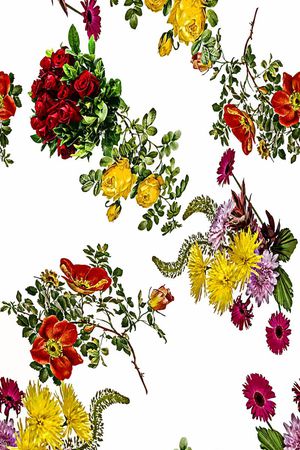 服装印花华亿平台图片