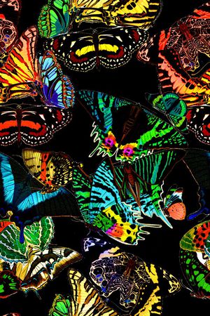 时尚印花华亿平台图片