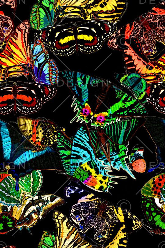 时尚印花华亿平台图片