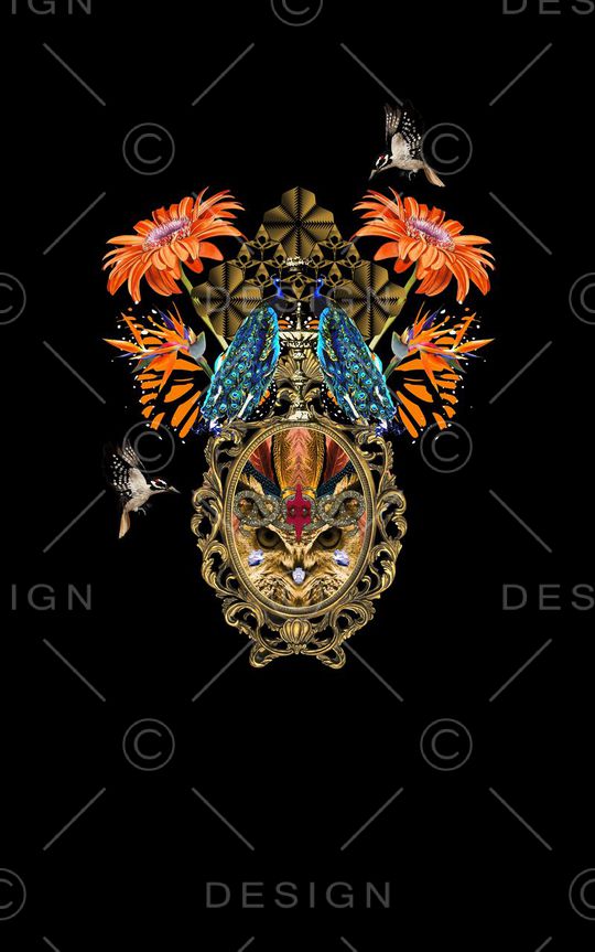 蝴蝶印花华亿平台图片