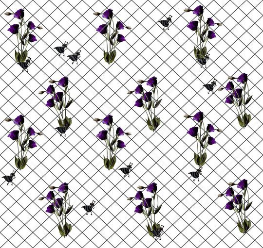 动物印花华亿平台图片