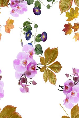 服装印花华亿平台图片