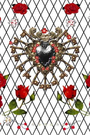 D&G走秀玫瑰印花华亿平台图片