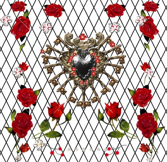 D&G走秀玫瑰印花华亿平台图片