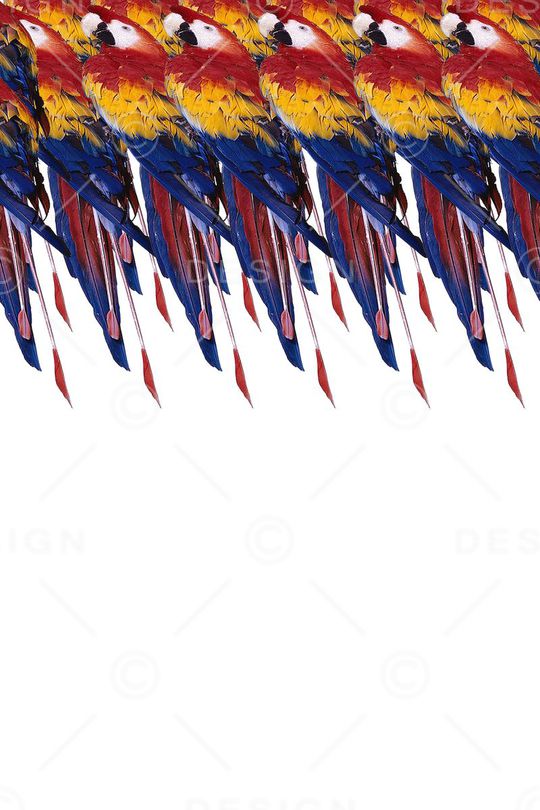 趋势印花华亿平台图片