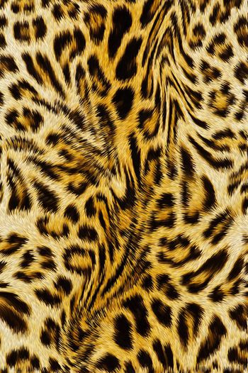 442565-个性豹纹流动的豹纹动物质感皮毛女装