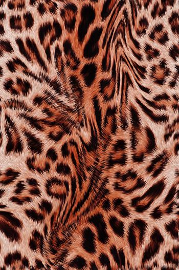 442566-个性豹纹流动的豹纹动物质感皮毛女装