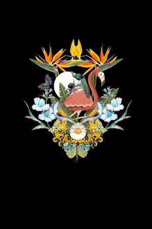 蝴蝶印花华亿平台图片