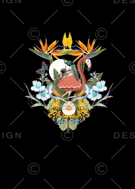 蝴蝶印花华亿平台图片