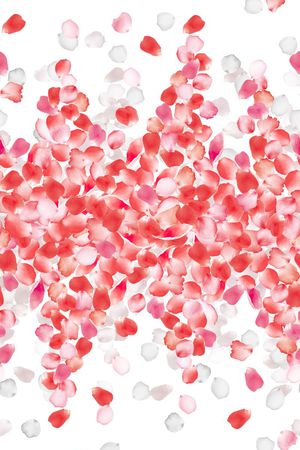 L.D~花卉印花华亿平台图片