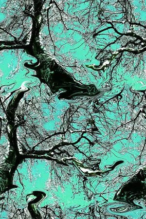 古树印花华亿平台图片