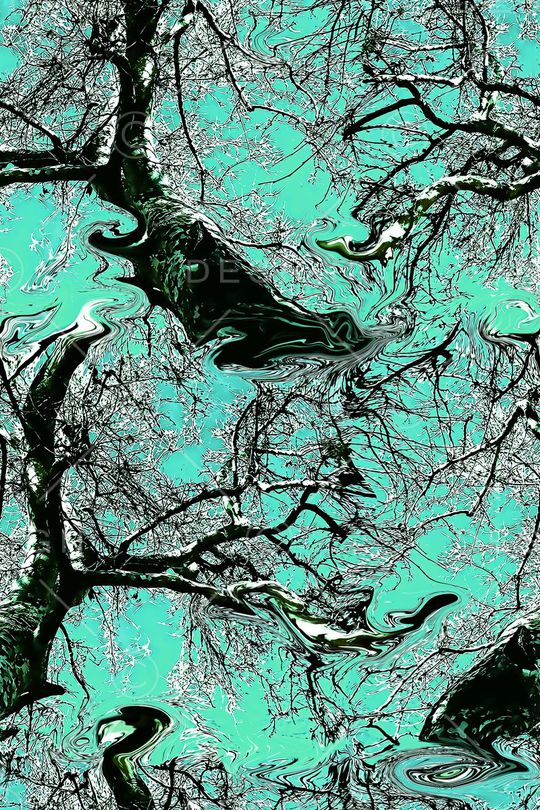 古树印花华亿平台图片