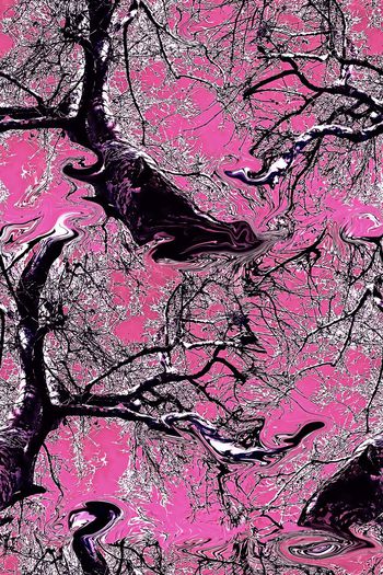 442839-古树新生大树枝干生命脉络寻根组合女