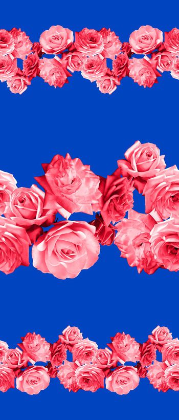 442936-定位玫瑰花卉设计