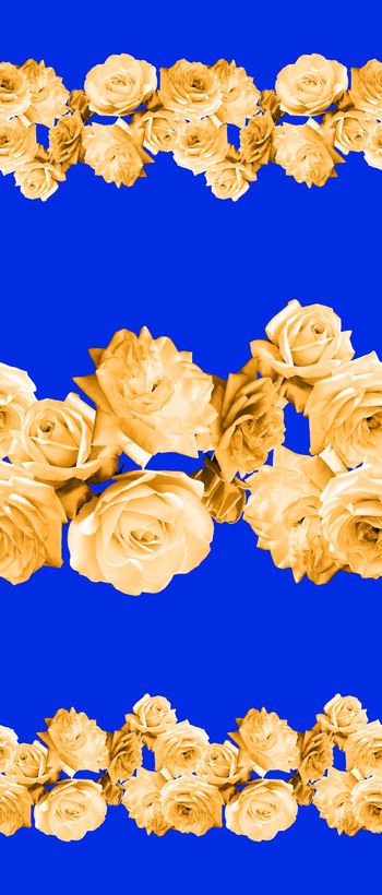 442938-定位玫瑰花卉设计