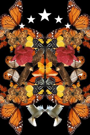 t恤华亿平台印花华亿平台图片