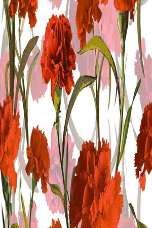 拉伸过度印花华亿平台图片