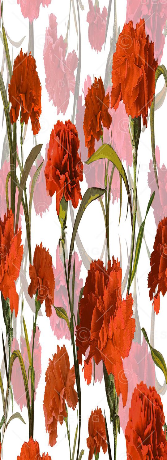 拉伸过度印花华亿平台图片