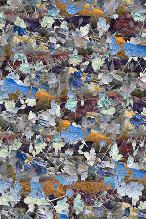 潮流印花华亿平台图片