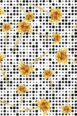 波点印花华亿平台图片