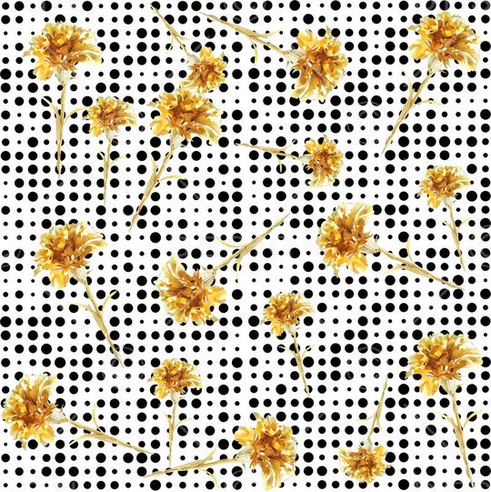 波点印花华亿平台图片