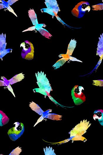 443117-简约现代感鹦鹉几何色块鼠绘风格华亿平台