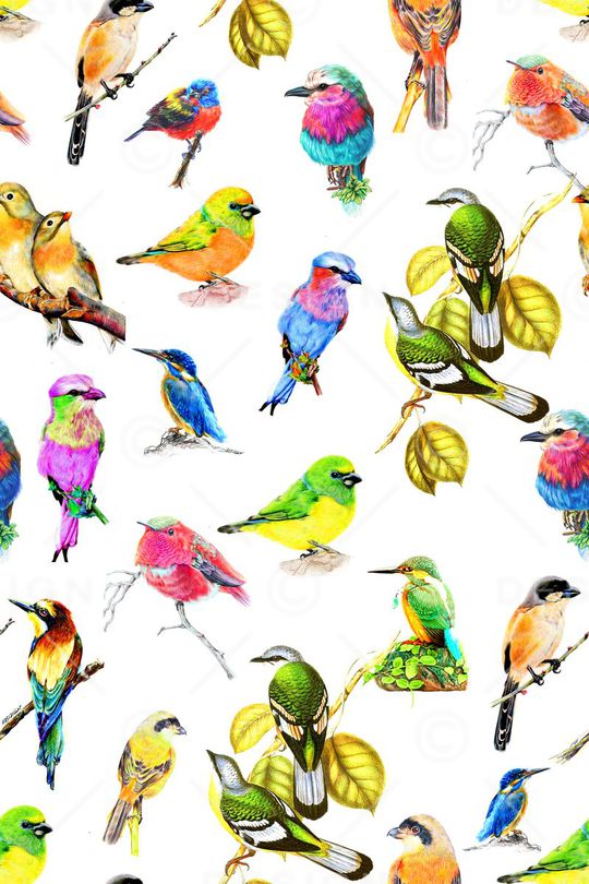 时尚印花华亿平台图片