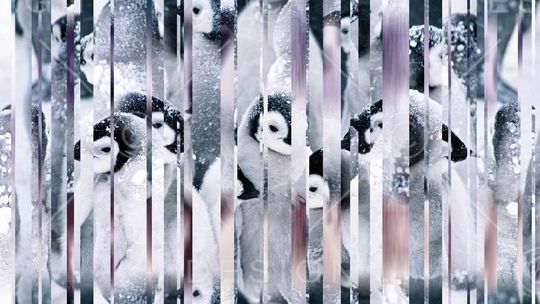 镜面印花华亿平台图片