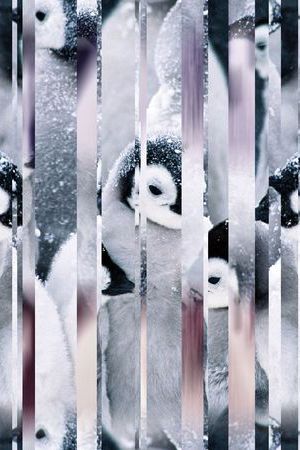 镜面印花华亿平台图片