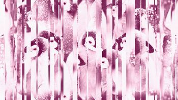 443206-镜面企鹅南极洲雪地女装羽绒服男装外