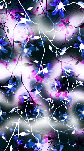 443230-抽象滤色枝条花卉 色块 渐变 创意