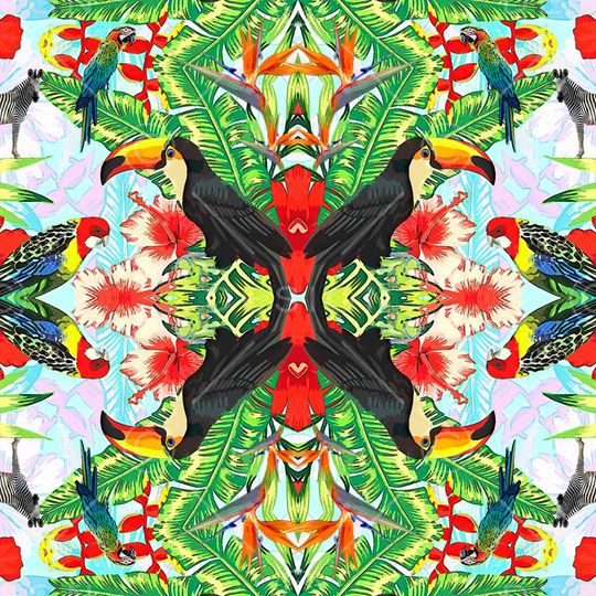 大嘴鸟印花华亿平台图片