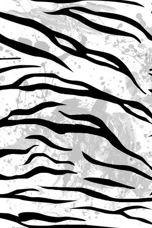 burberry斑马走秀款印花华亿平台图片