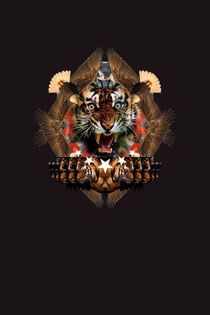 t恤华亿平台印花华亿平台图片