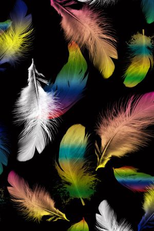 大气黑底印花华亿平台图片