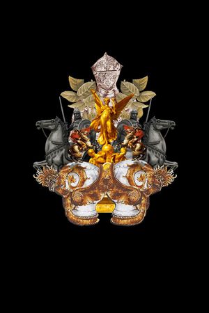 定位盔甲印花华亿平台图片