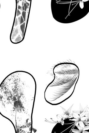 趣味圆点黑白热带风情印花华亿平台图片