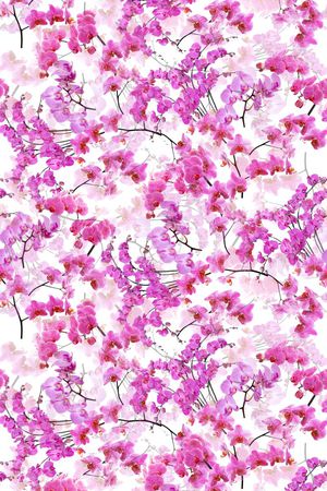 潮流印花华亿平台图片