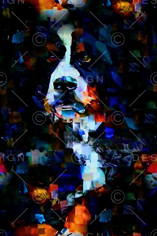 狗印花华亿平台图片