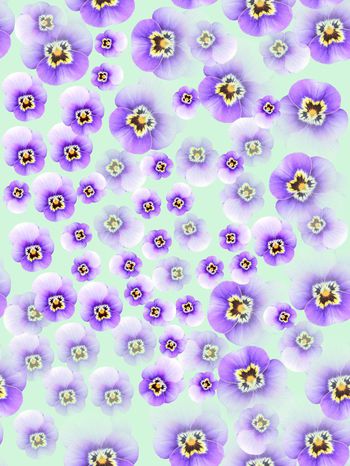 443658-简约时尚淡雅田园风格衬衣裤子裙子印