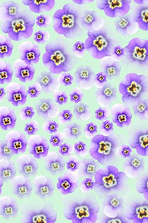 纯色底印花华亿平台图片