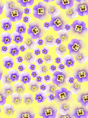 443659-简约时尚淡雅田园风格衬衣裤子裙子印